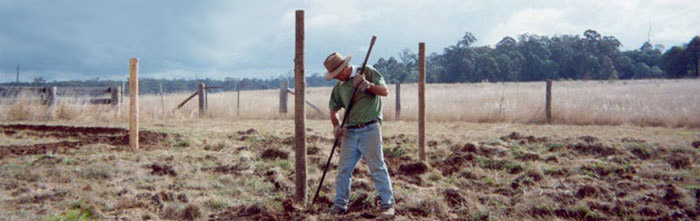 The vineyard has come a long way in a short time